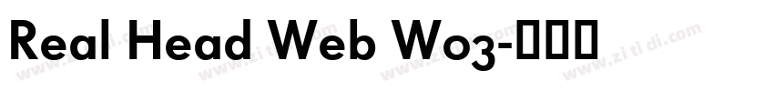 Real Head Web W03字体转换